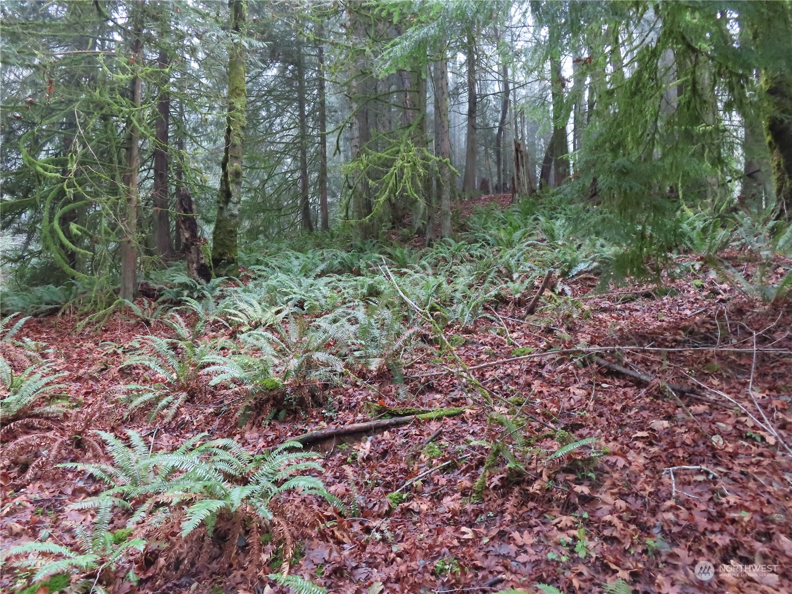 2 State Route 106 Belfair, WA 98528 - Photo 15 of 20 Gallery Image 15