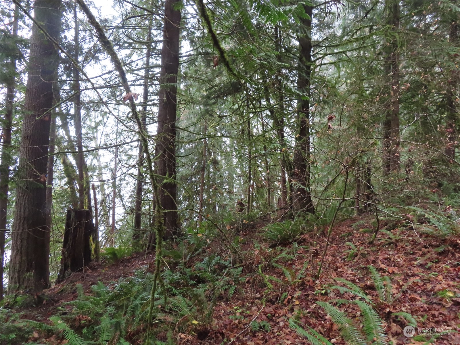 2 State Route 106 Belfair, WA 98528 - Photo 17 of 20 Gallery Image 17