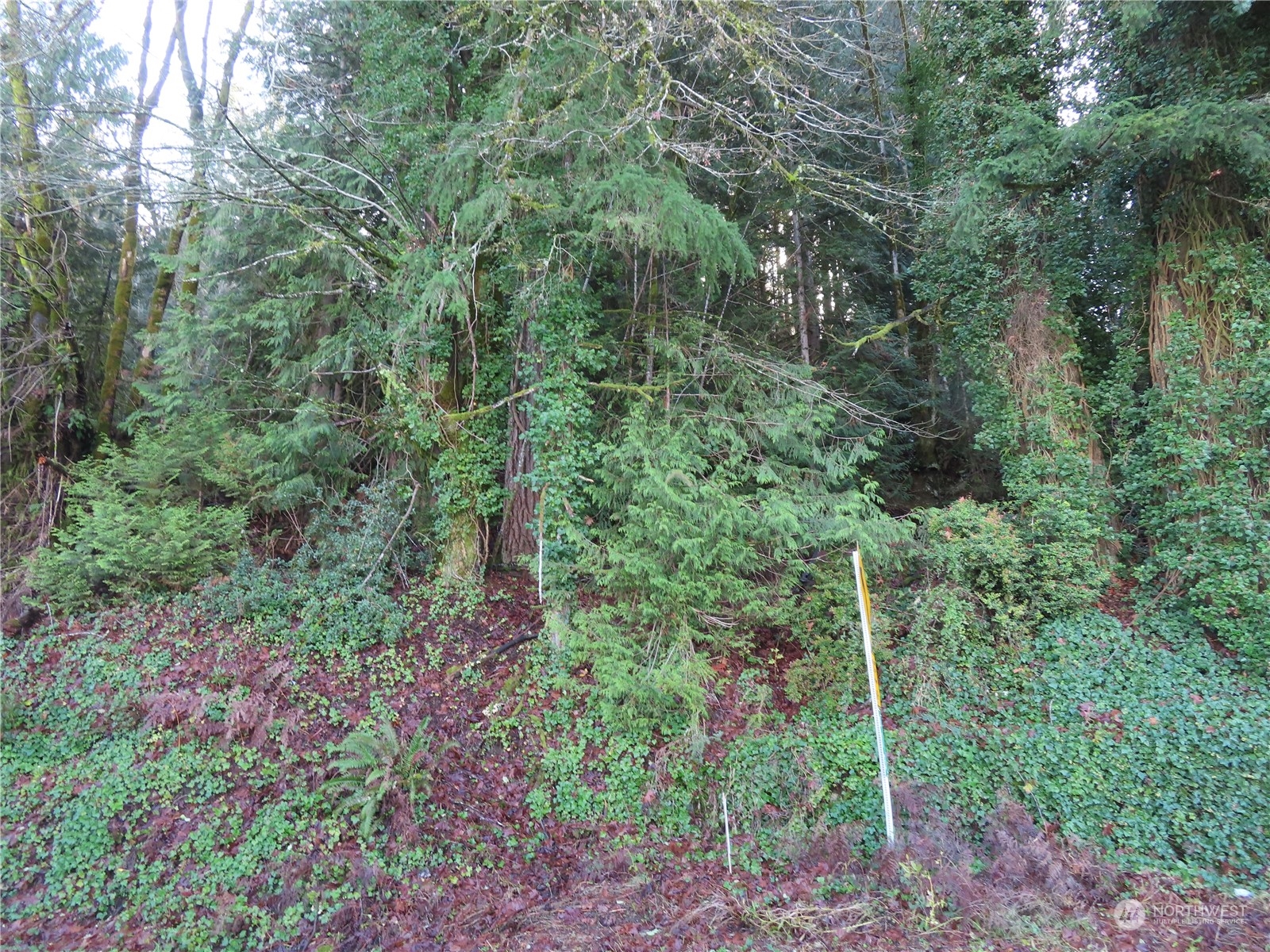 2 State Route 106 Belfair, WA 98528 - Photo 20 of 20 Gallery Image 20