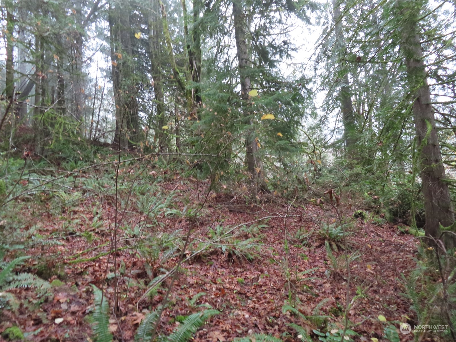 2 State Route 106 Belfair, WA 98528 - Photo 3 of 20 Gallery Image 3