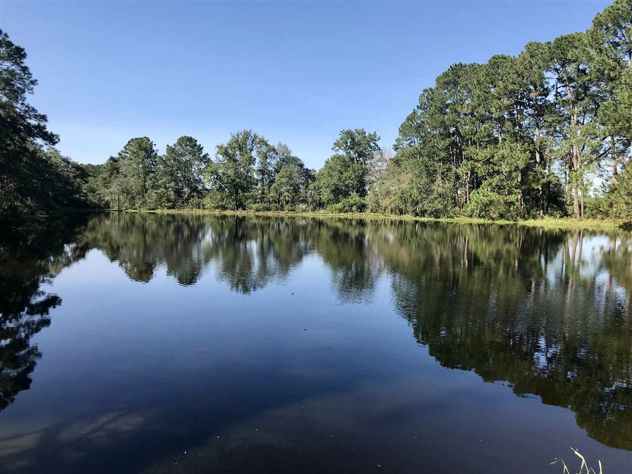 14915 Maddox Road Andalusia, AL 36420 - Photo 23 of 25 Gallery Image 23
