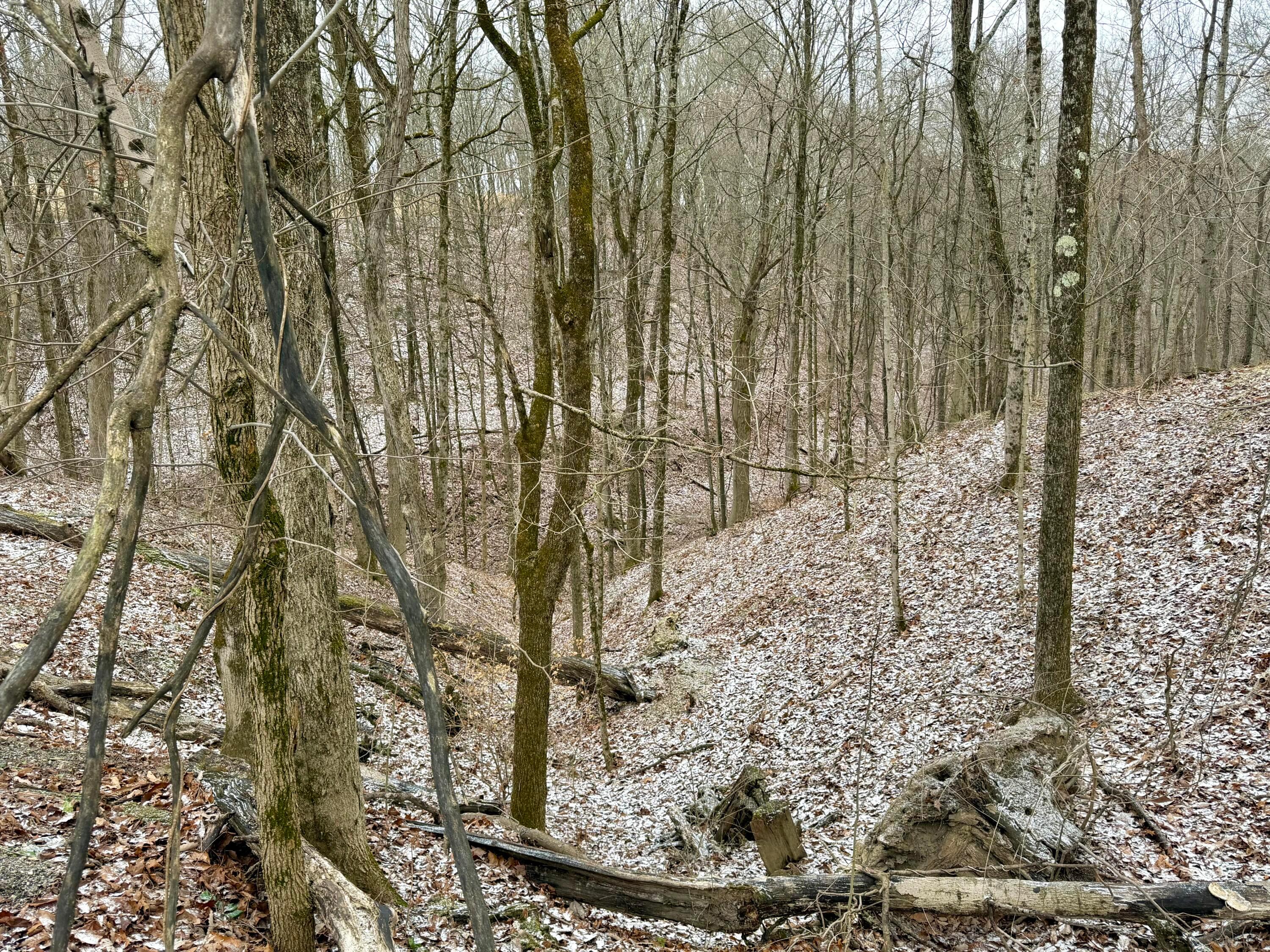 0 Sealover Hollow Road Philo, OH 43771 - Photo 23 of 26 IMG_1985