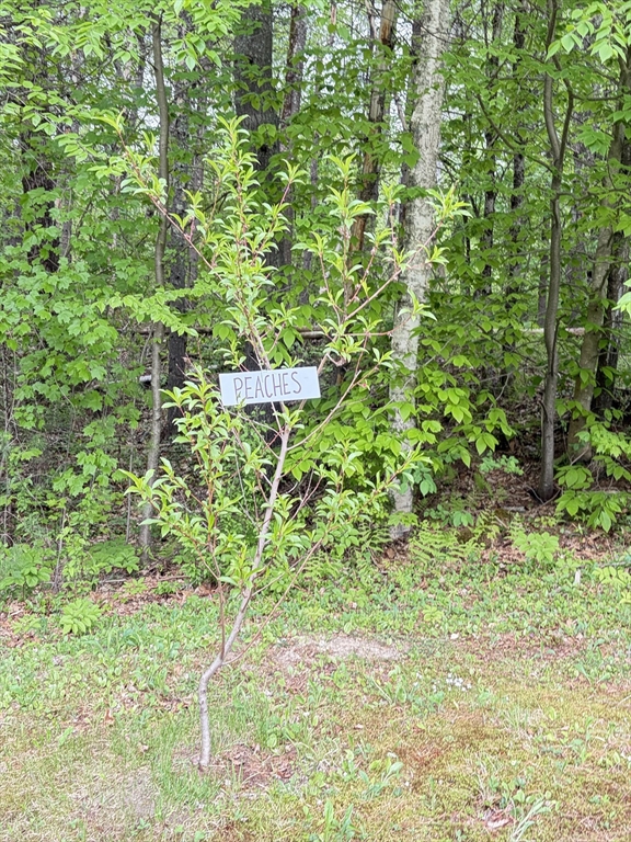 276 New Sherborn Road Athol, MA 01331 - Photo 25 of 35