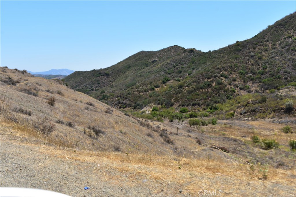 a view of a dry yard