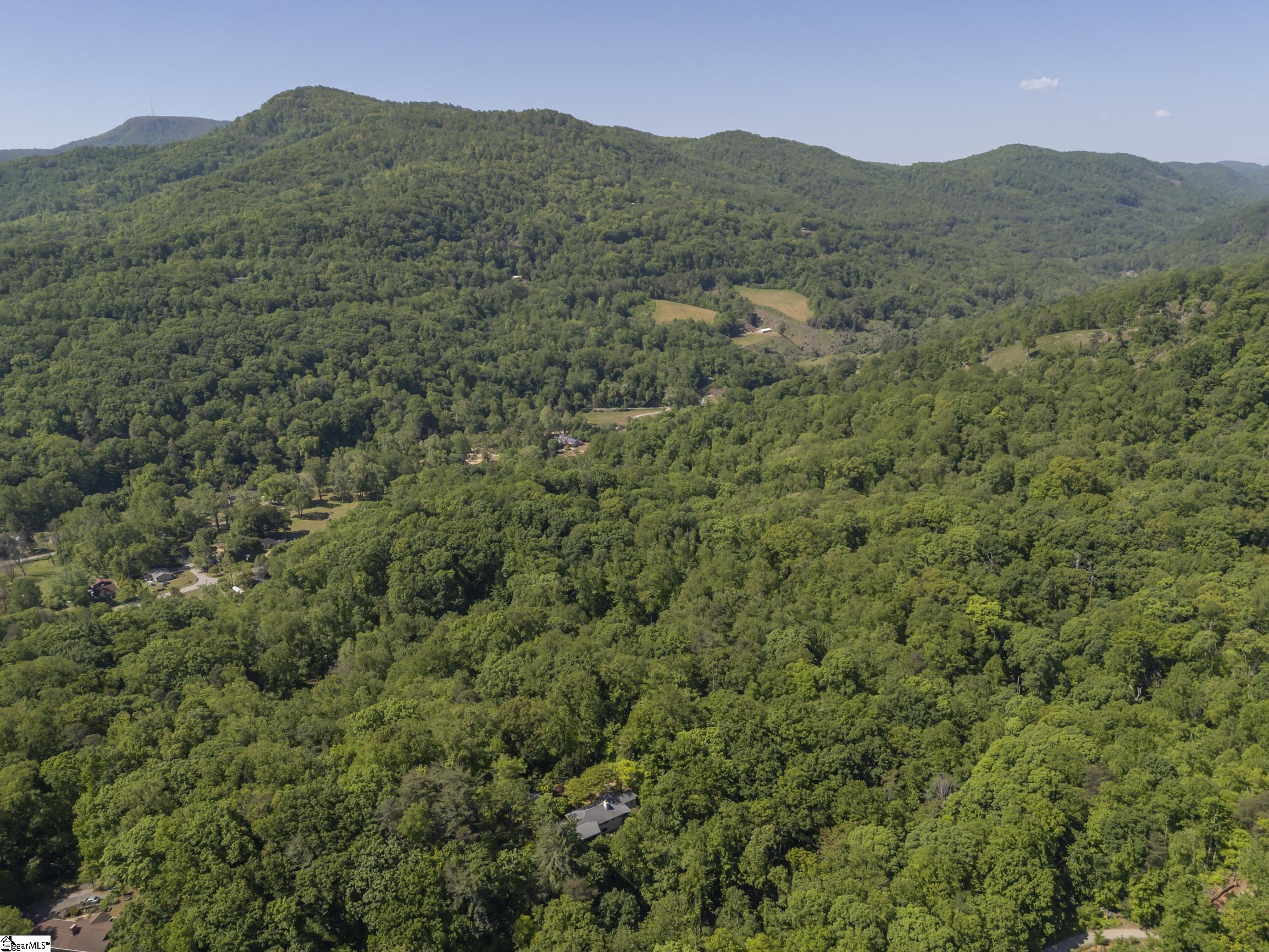 484 Sourwood Ridge Road Tryon, NC 28782 - Photo 44 of 44