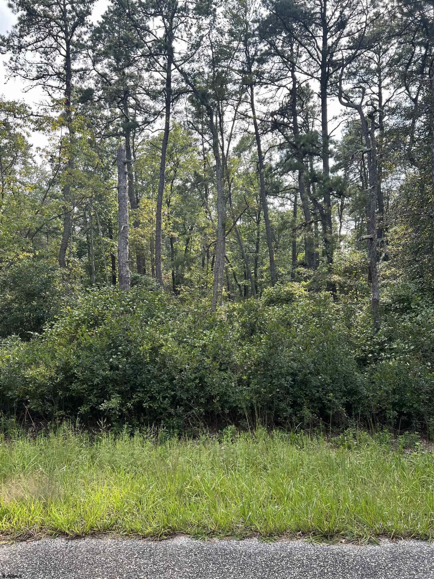 5827 Holly Street Mays Landing, NJ 08330 - Photo 3 of 12 a view of a green yard