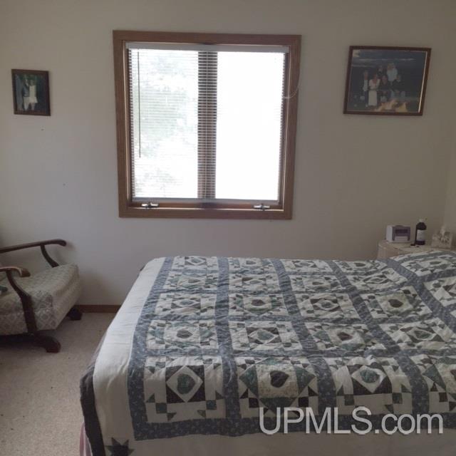 857 Baumgartner Road Iron River, MI 49935 - Photo 8 of 34