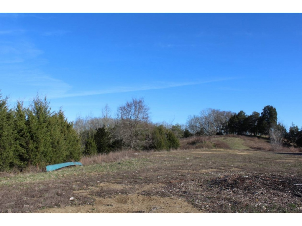 850 Ottway Road Greeneville, TN 37745 - Photo 14 of 25 Photo 14