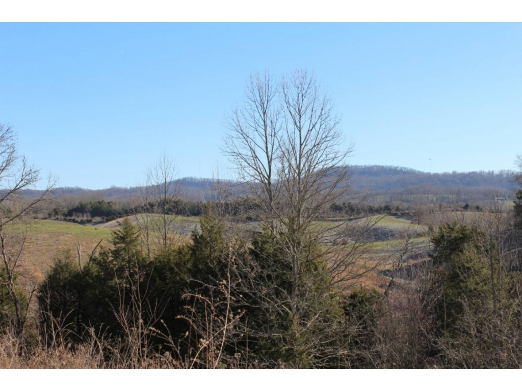 850 Ottway Road Greeneville, TN 37745 - Photo 2 of 25 Photo 2