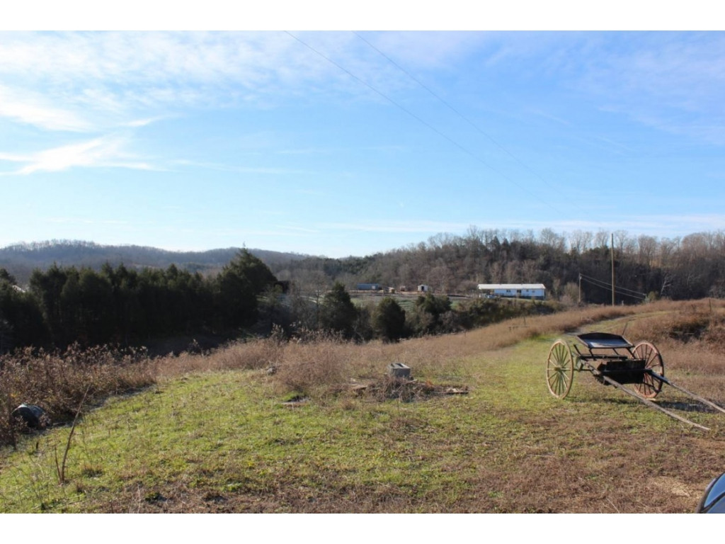 850 Ottway Road Greeneville, TN 37745 - Photo 5 of 25 Photo 5