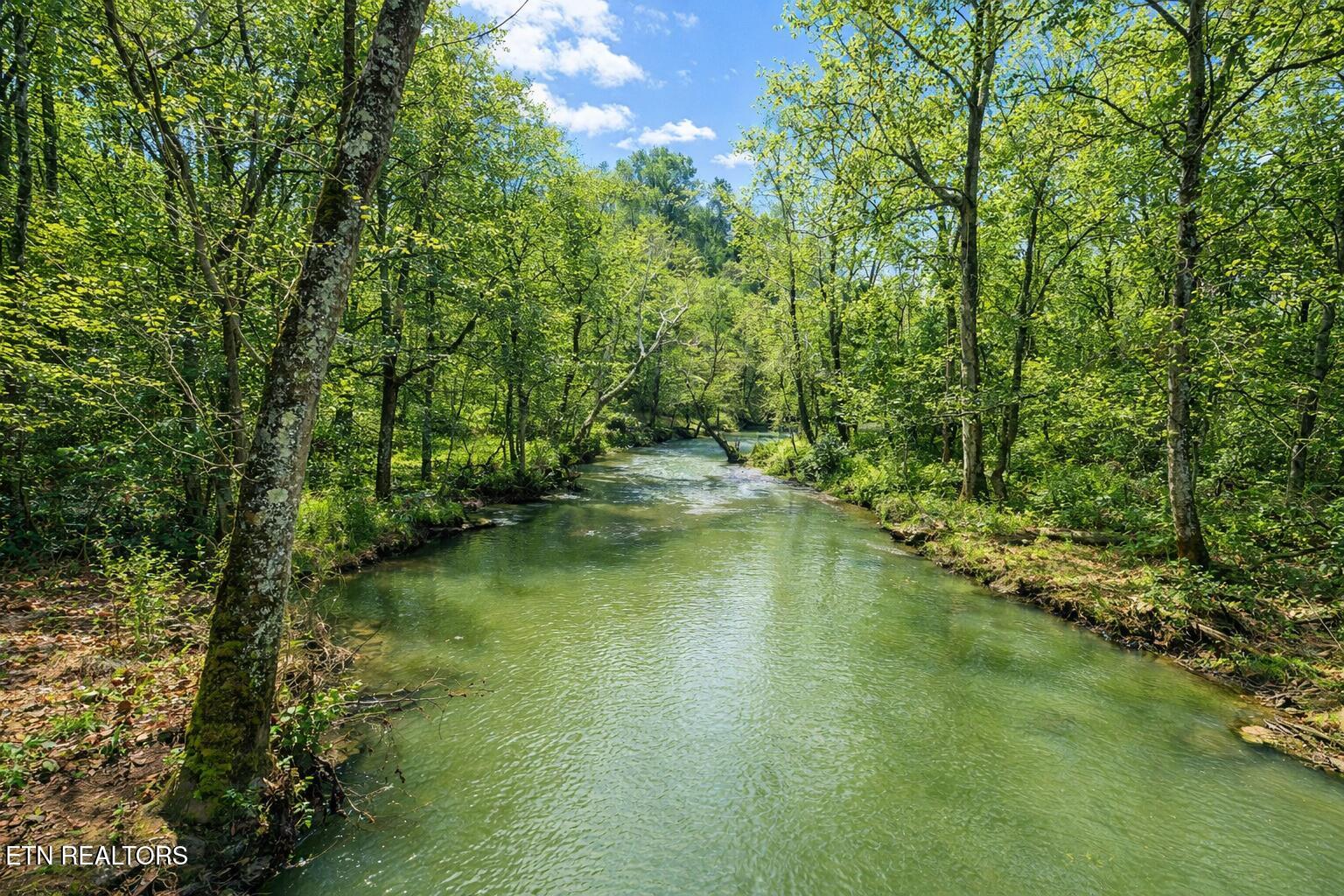 864 Bullrun Valley Drive Heiskell, TN 37754 - Photo 3 of 12 7F56EC38-C553-4A3C-B5EF-80E5B756D96D