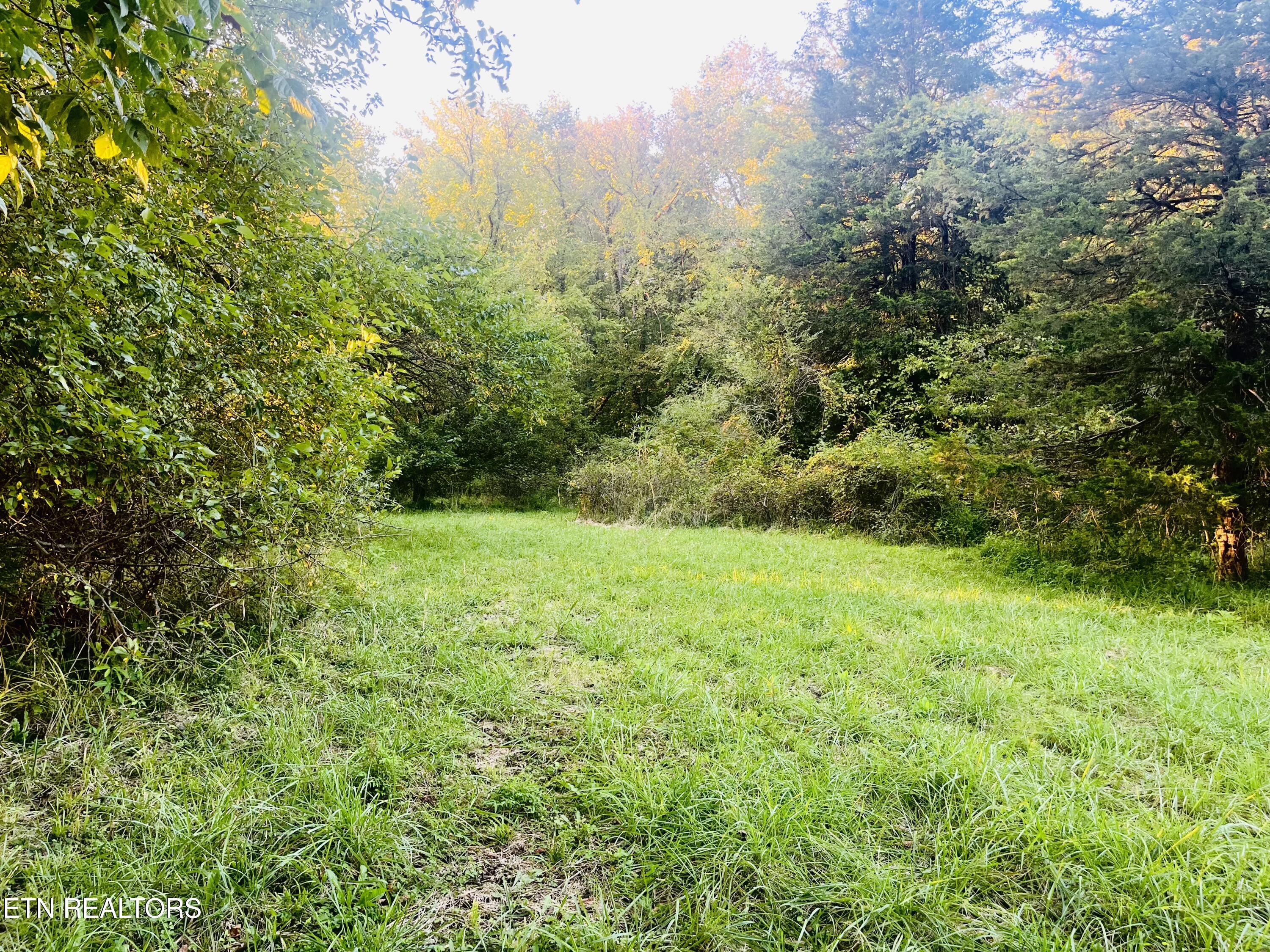 864 Bullrun Valley Drive Heiskell, TN 37754 - Photo 5 of 12 IMG_5466