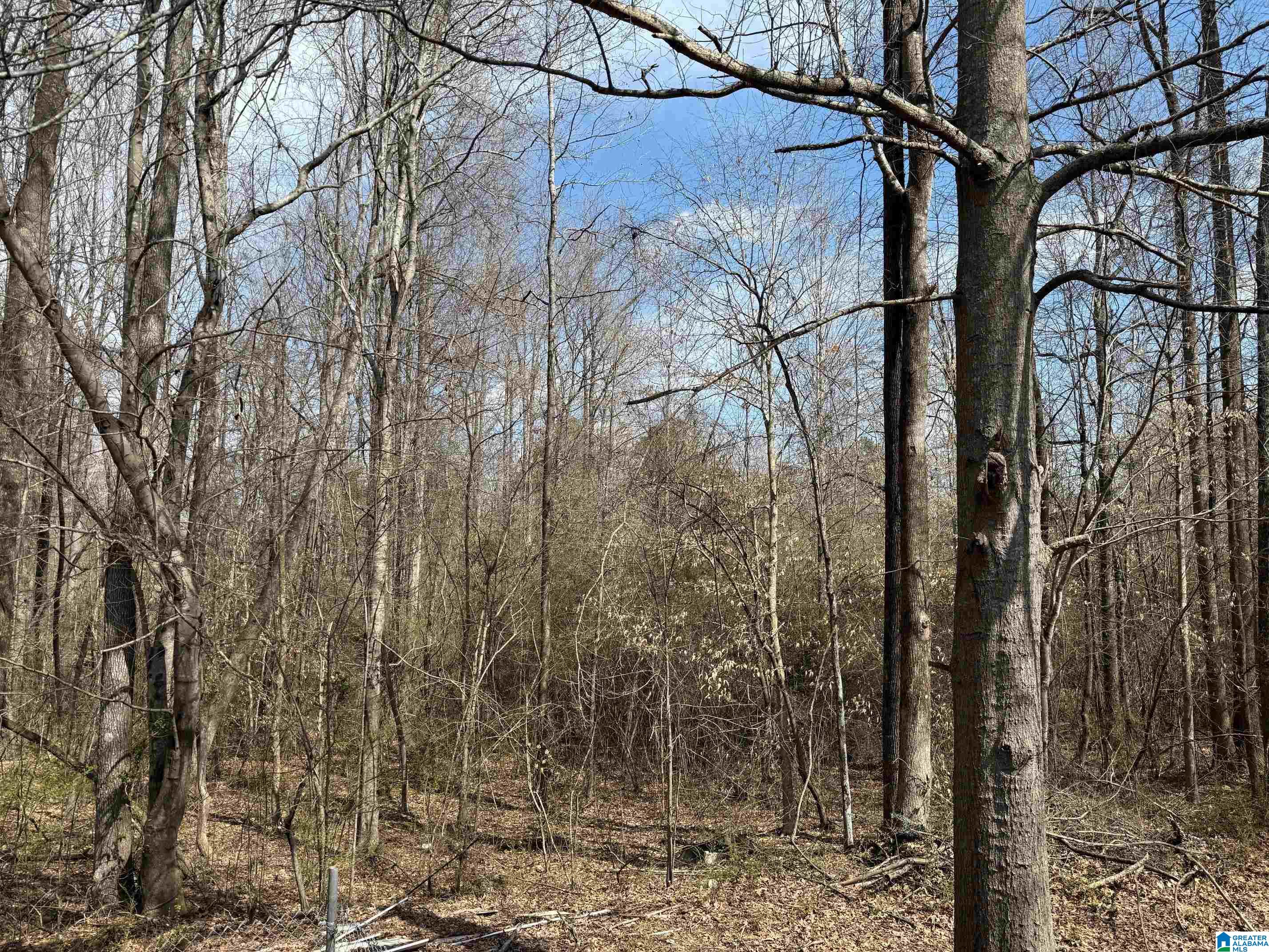 90 Northrop Road Jasper, AL 35503 - Photo 9 of 9