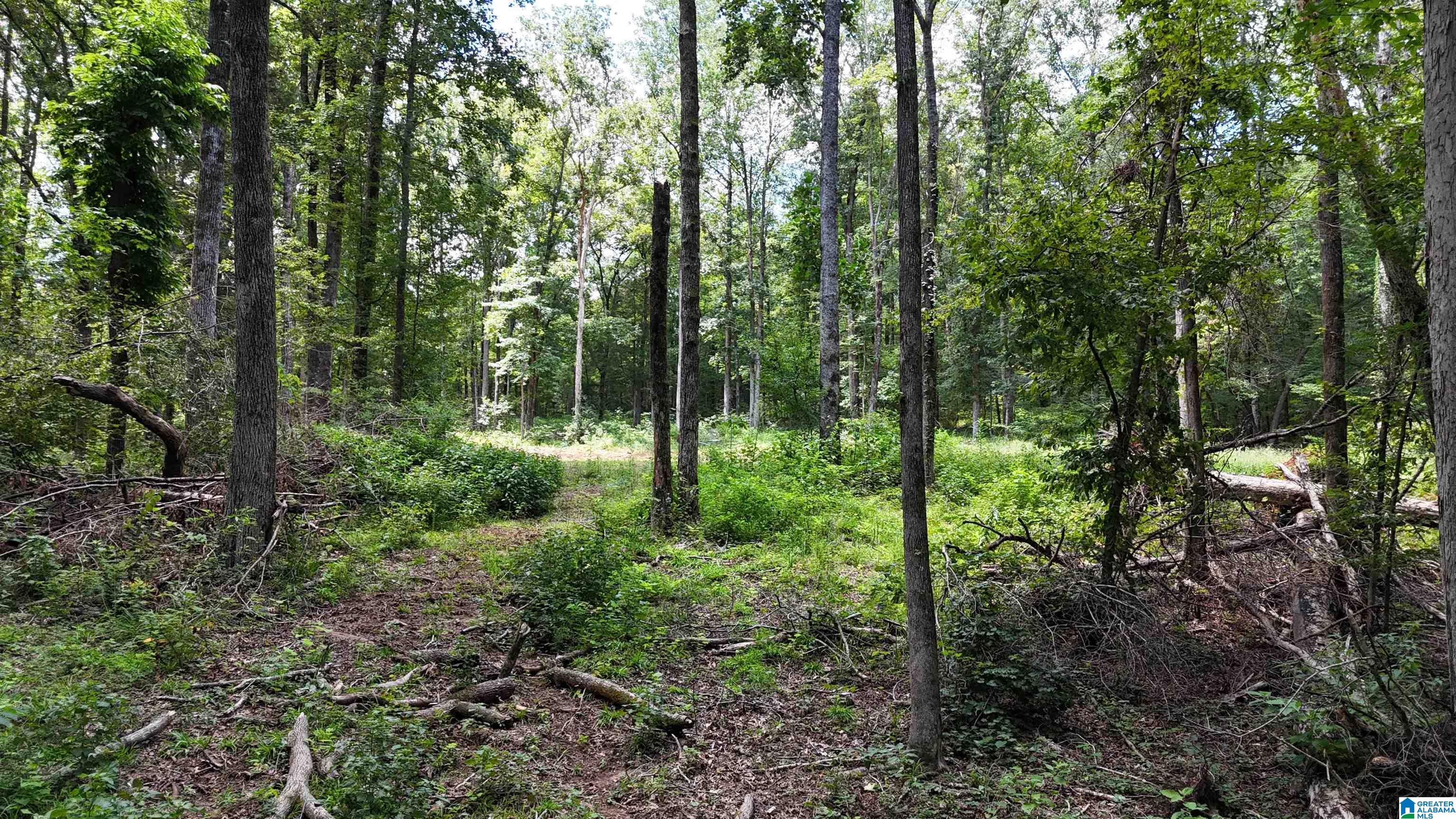 2170 Birmingham Road Centreville, AL 35042 - Photo 21 of 32