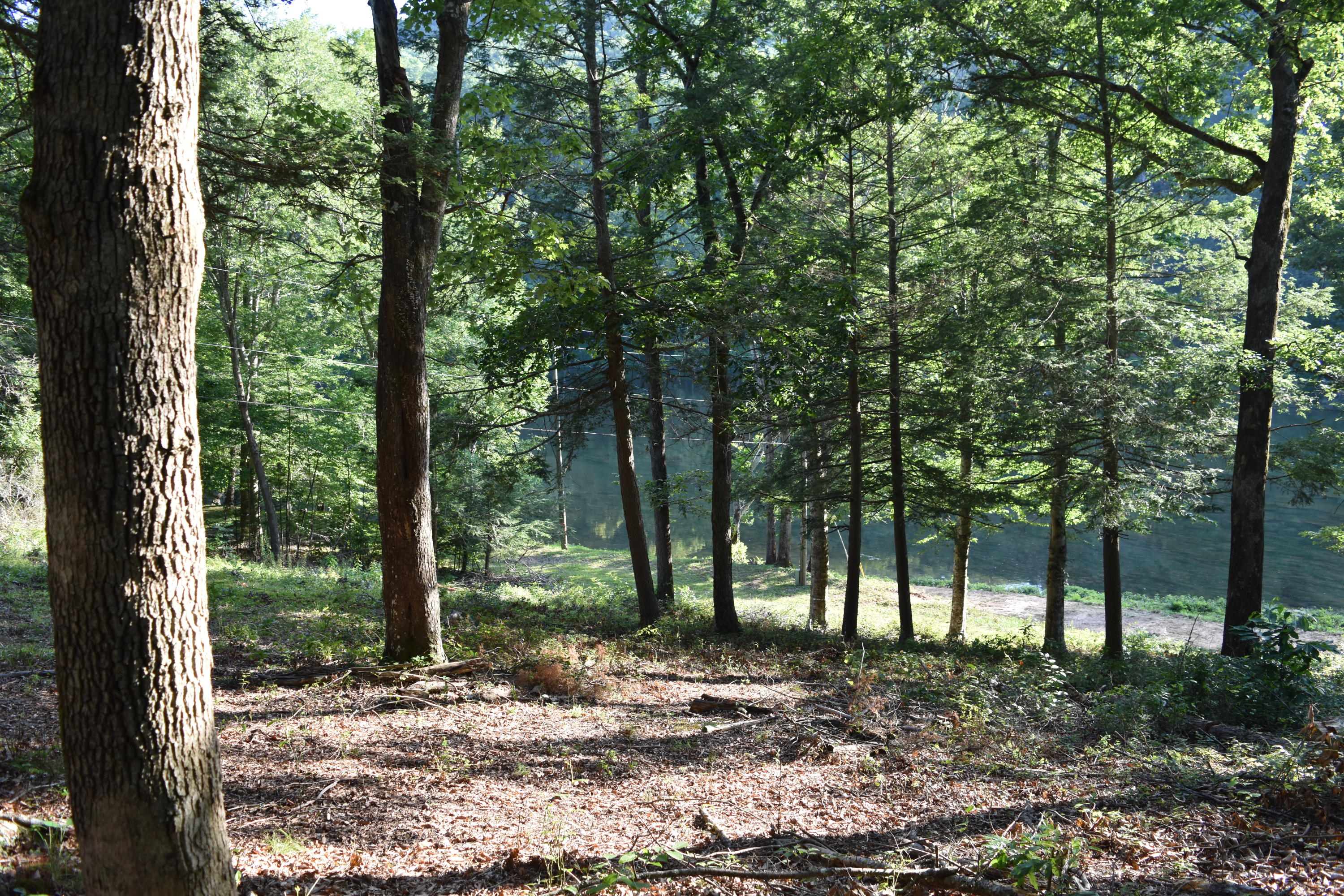 1127 Bacon Falls Road Talcott, WV 24981 - Photo 20 of 66 Gallery Image 20