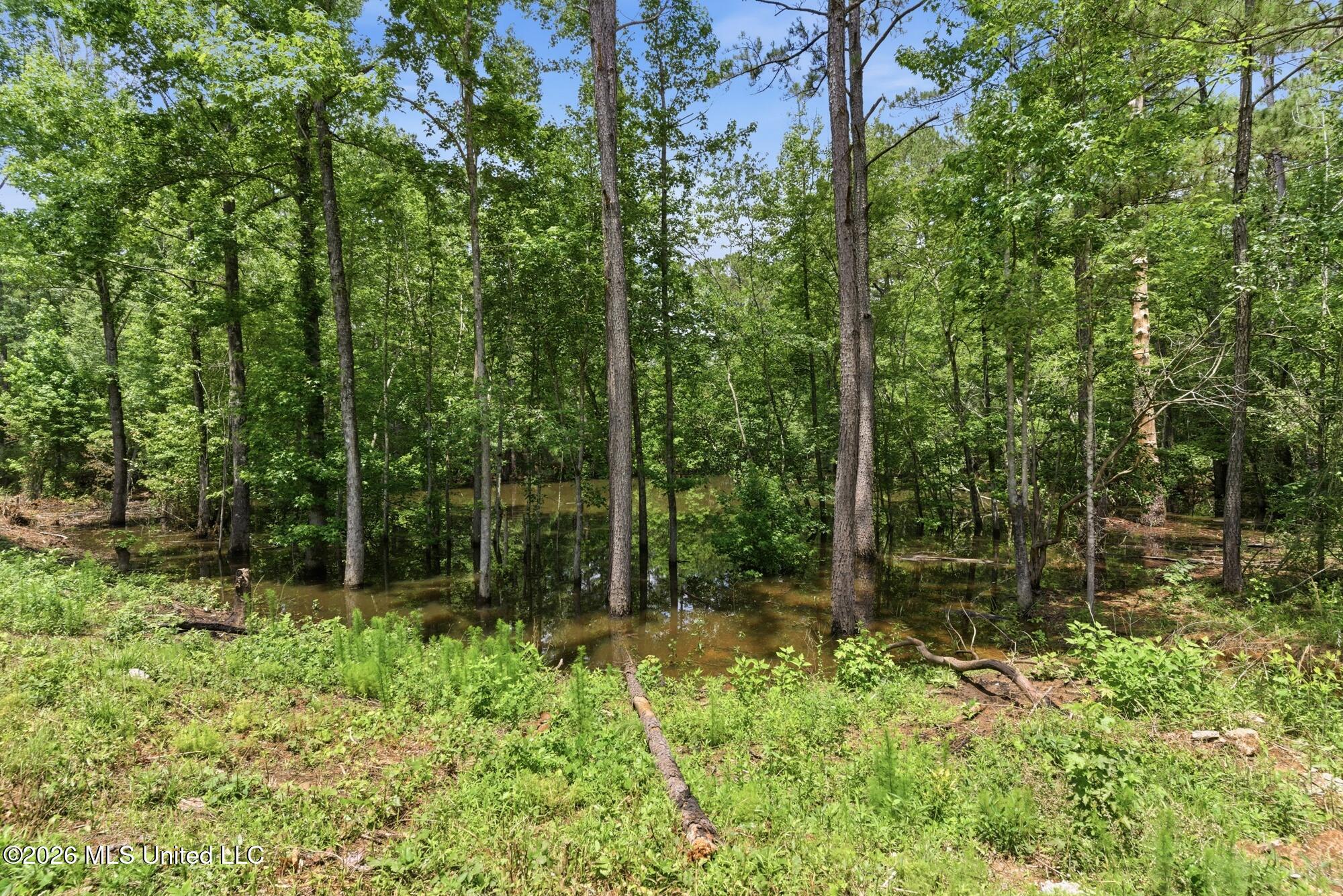 218 Buford Evans Road Petal, MS 39465 - Photo 34 of 48 34