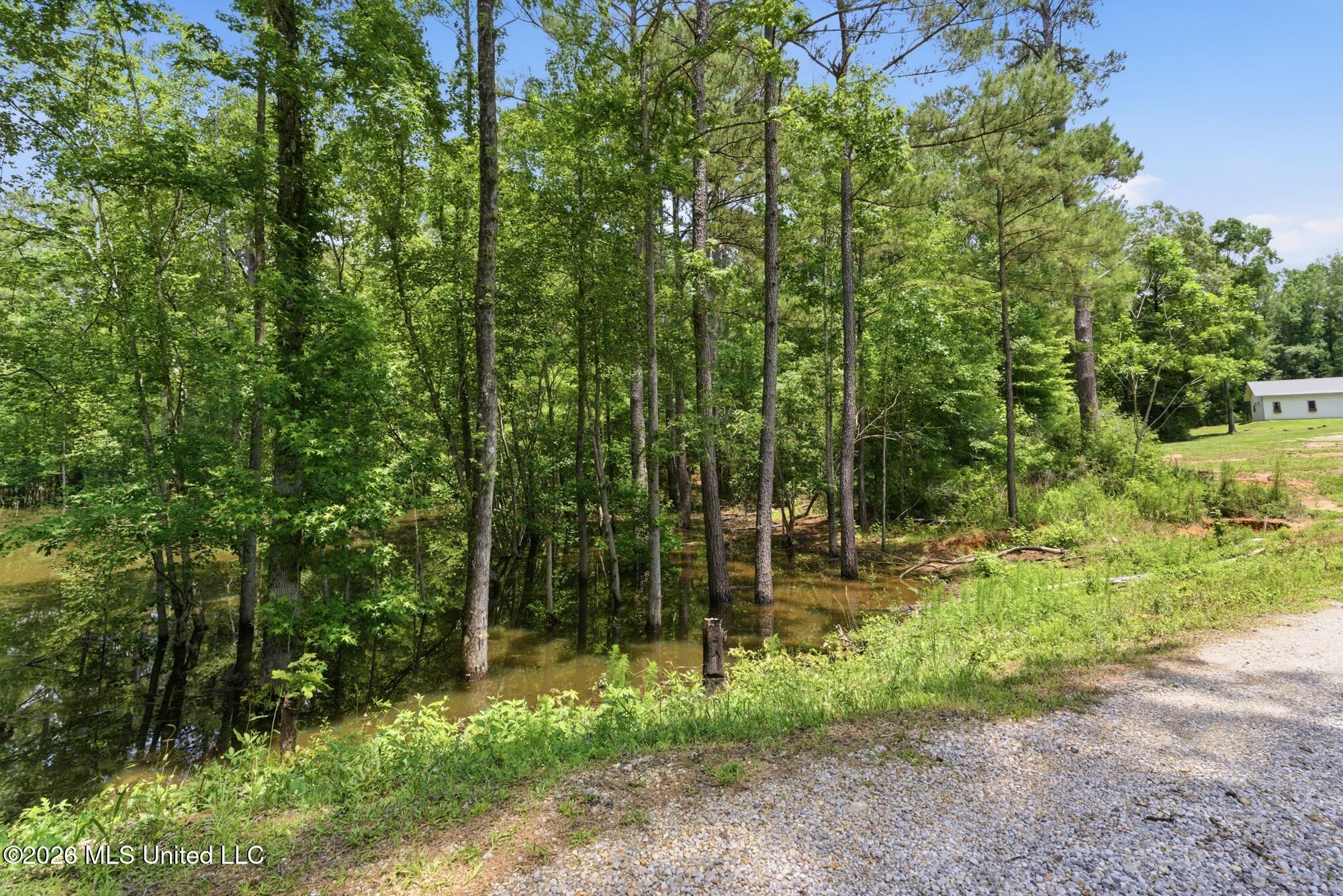 218 Buford Evans Road Petal, MS 39465 - Photo 35 of 48 35