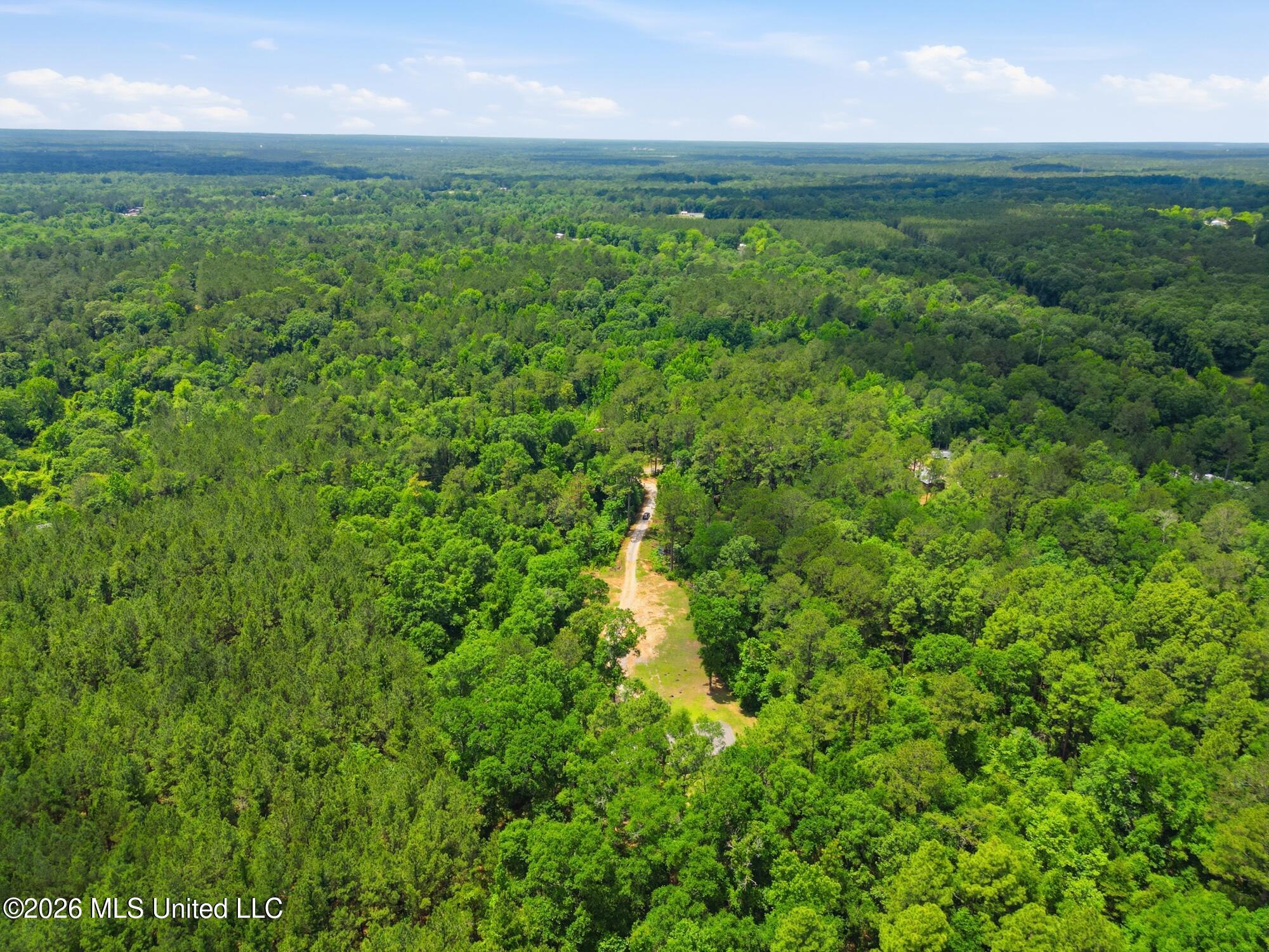 218 Buford Evans Road Petal, MS 39465 - Photo 41 of 48 41