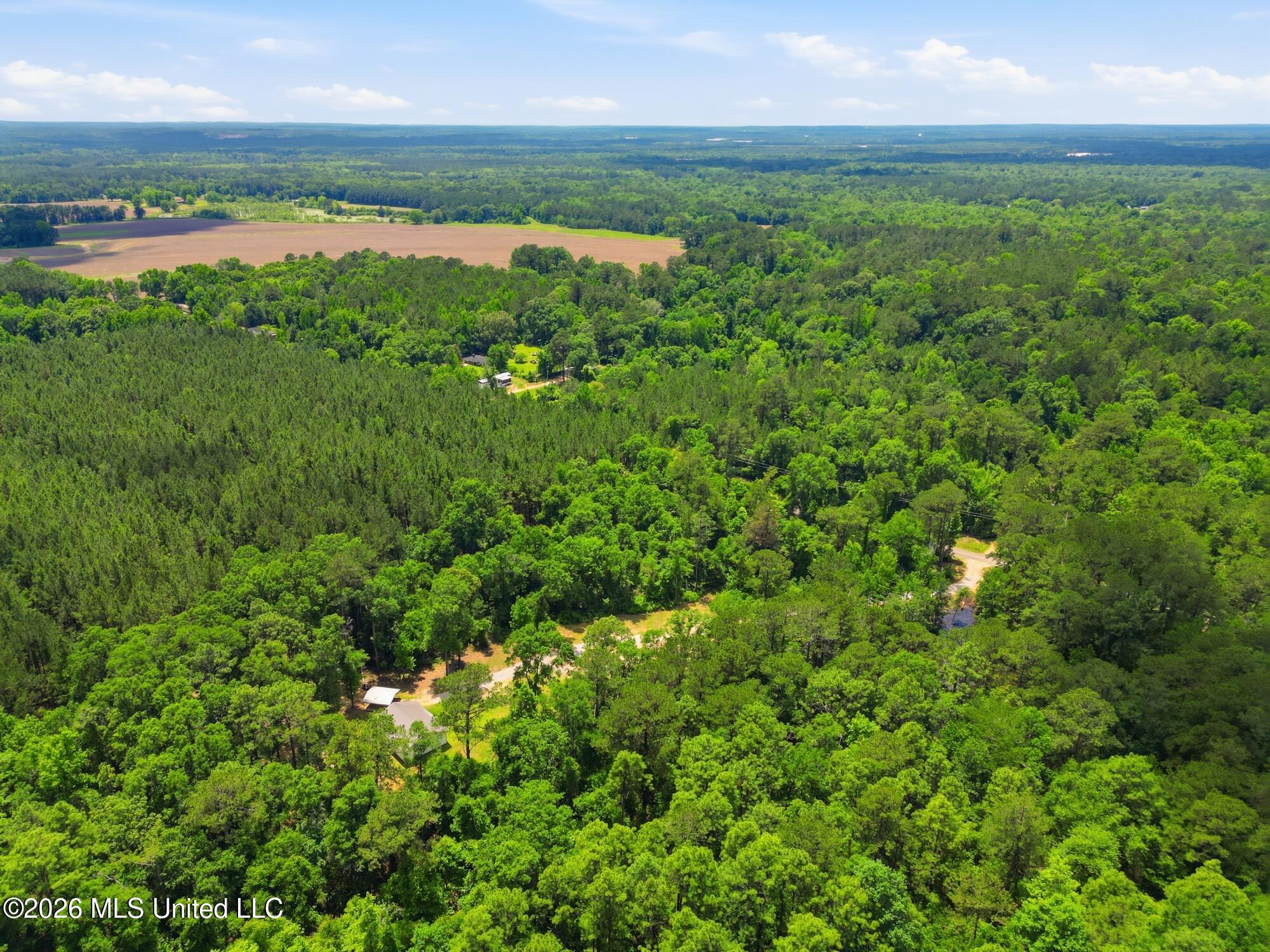 218 Buford Evans Road Petal, MS 39465 - Photo 43 of 48 43