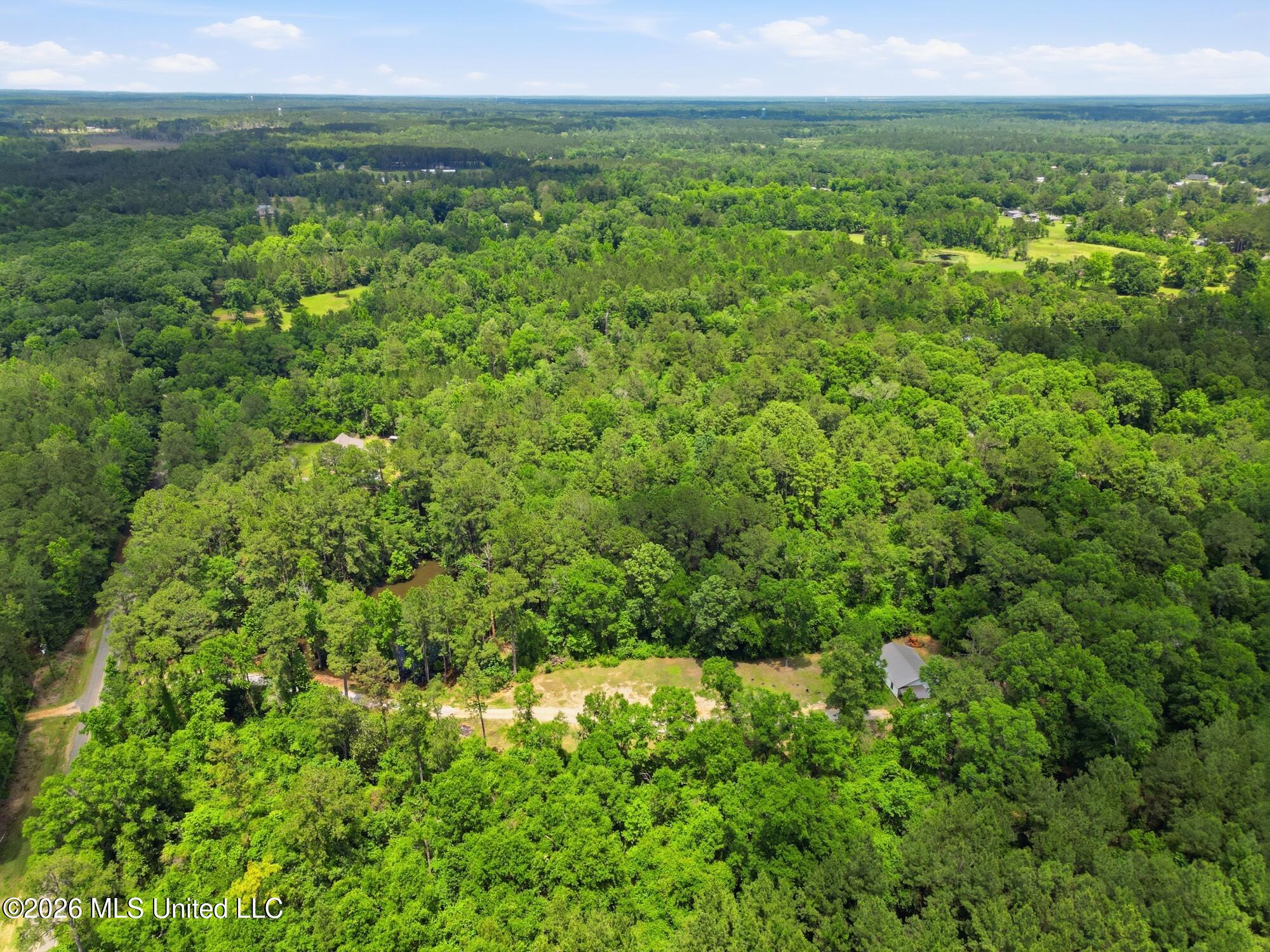 218 Buford Evans Road Petal, MS 39465 - Photo 45 of 48 45