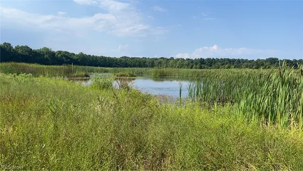 $695,000 | Flagdale, Junction City, OH 43748