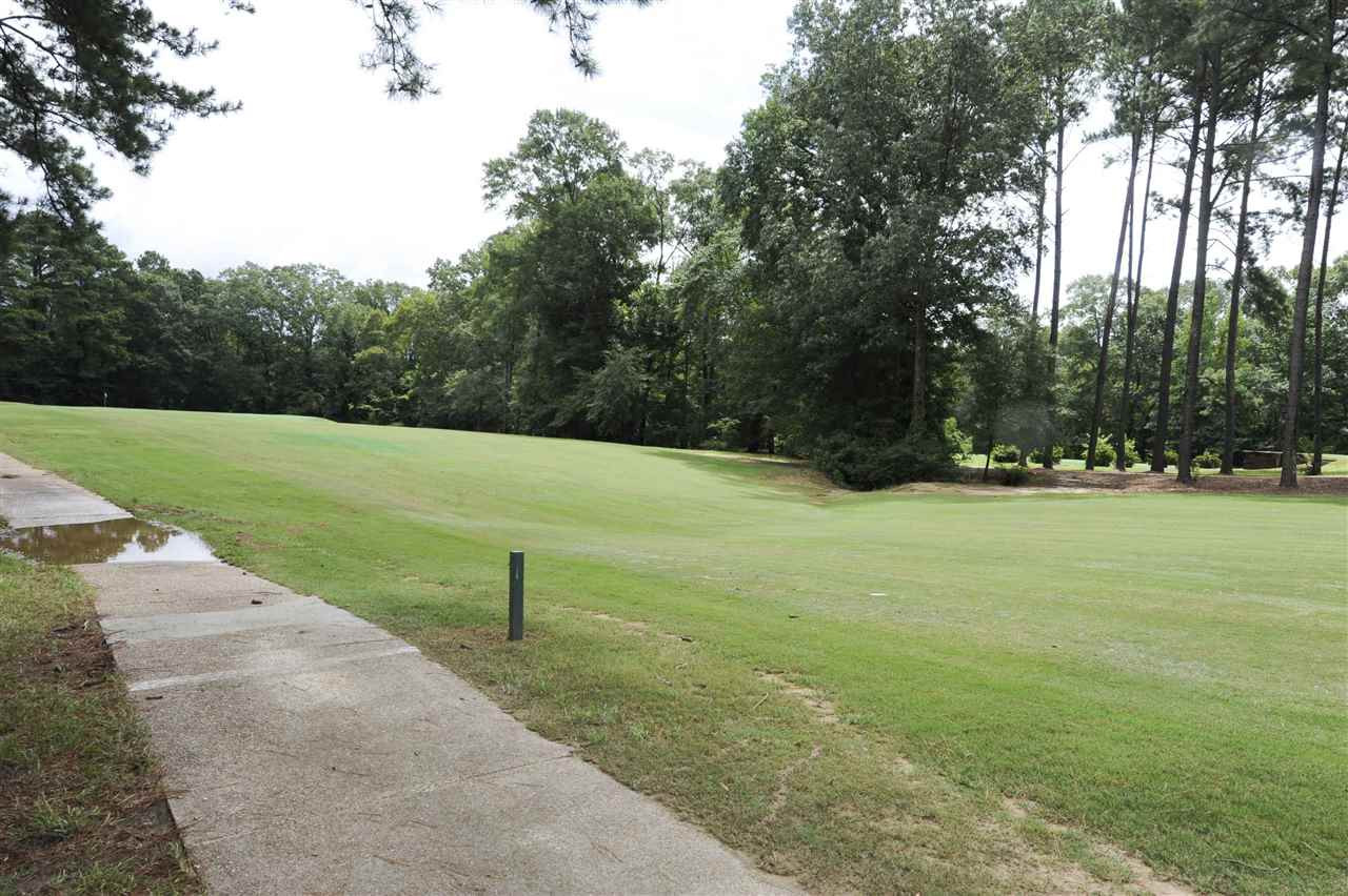 128 Pine Ridge Circle Brandon, MS 39047 - Photo 31 of 32 Photo 31