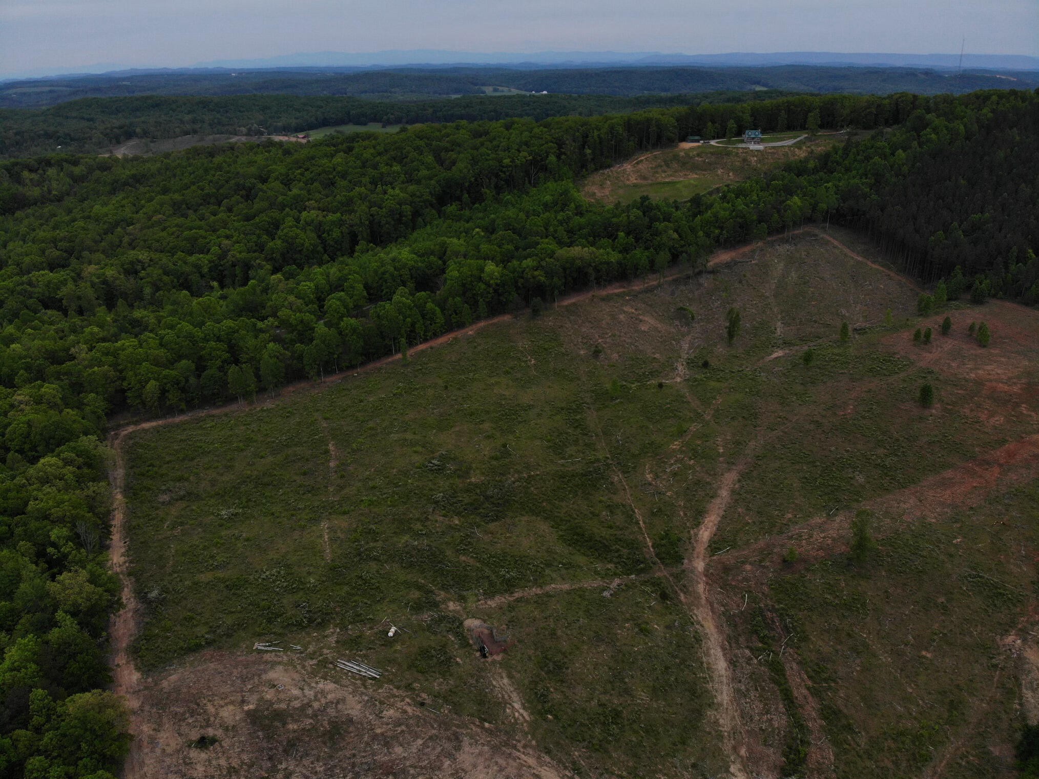 1102 Sam Davis Road Decatur, TN 37322 - Photo 11 of 18 a view of a pathway both side of a forest