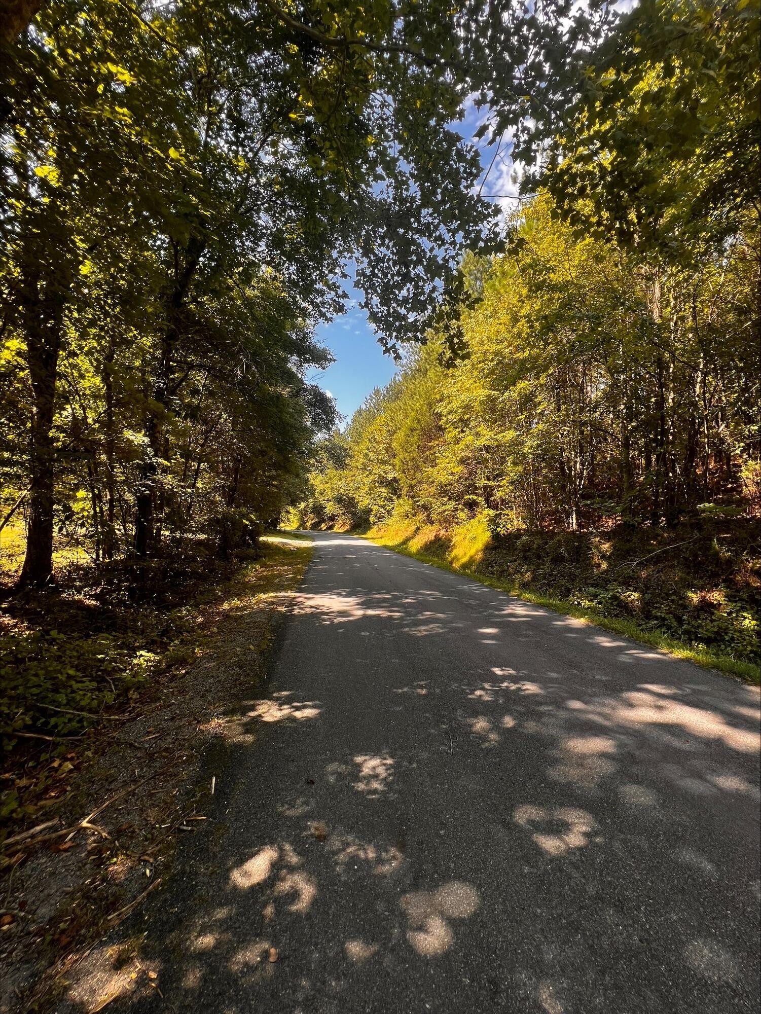 1102 Sam Davis Road Decatur, TN 37322 - Photo 15 of 18 a view of street view
