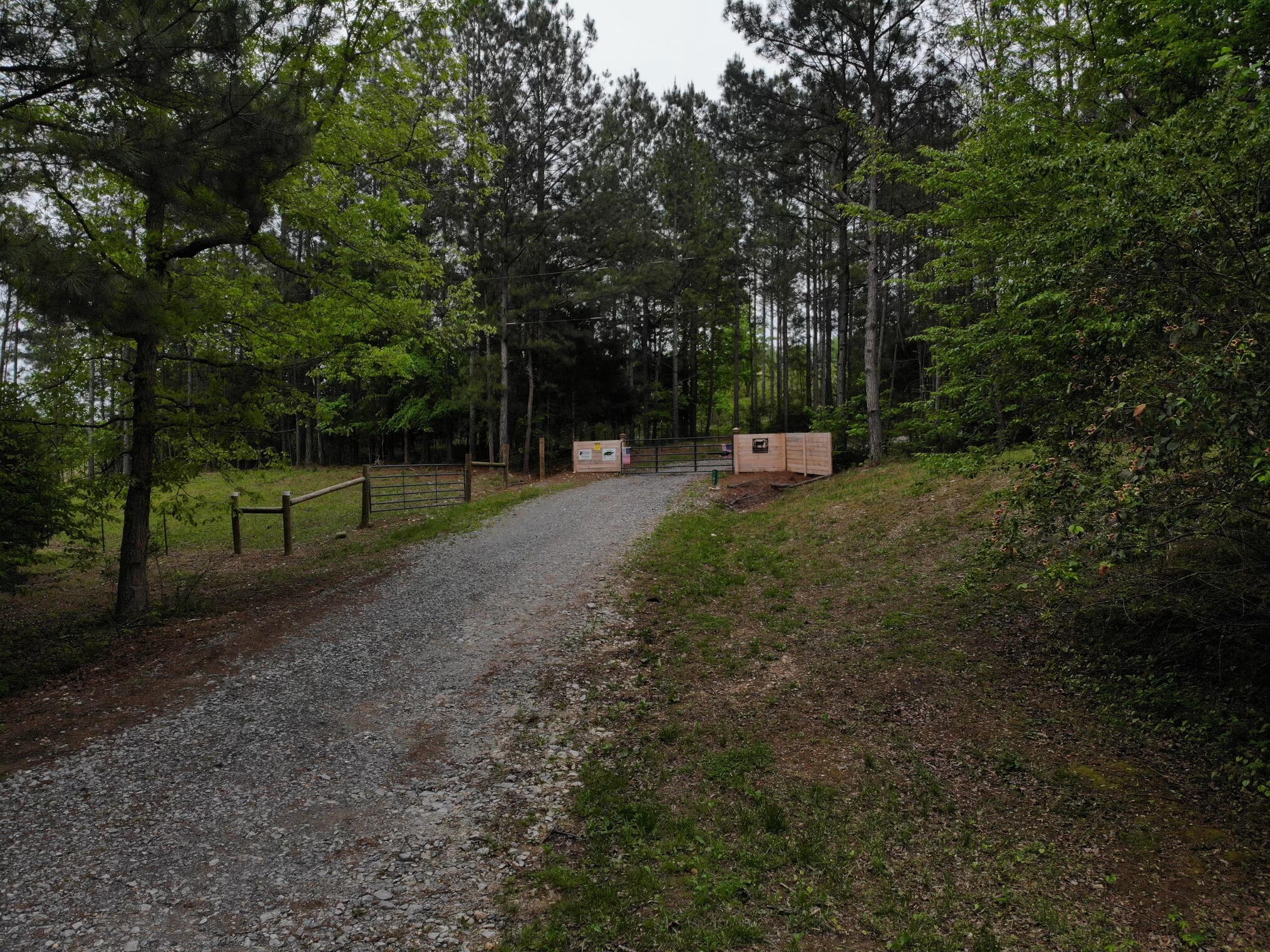 1102 Sam Davis Road Decatur, TN 37322 - Photo 6 of 18 a view of a park with large trees