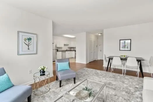 a living room with furniture and a dining table with rug