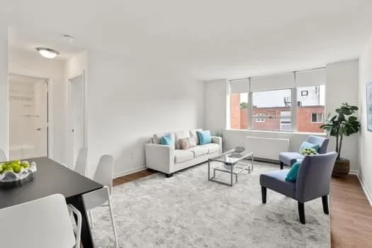 a living room with furniture and a potted plant