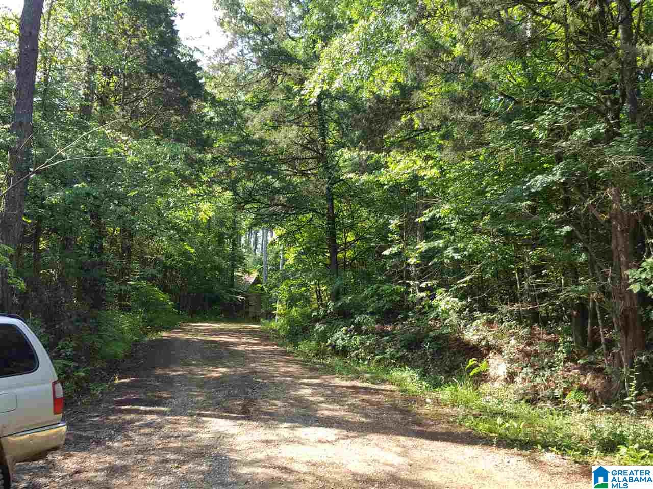 0 Chapman Road, Unit 175 Goodwater, AL 35072 - Photo 5 of 16
