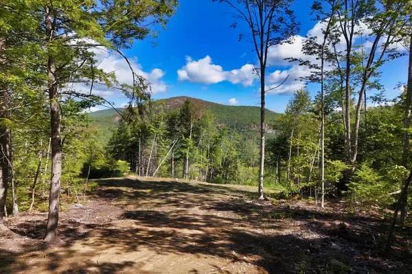 $250,000 | 12-12-10-8 12-12-10-8 Jacob Hall Farm Road, Unit 8, Rumney, NH 03266