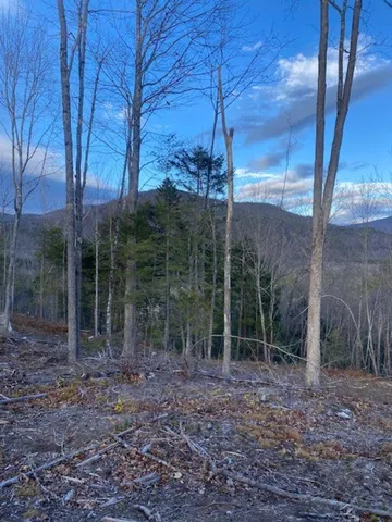 $250,000 | 12-12-10-8 12-12-10-8 Jacob Hall Farm Road, Unit 8, Rumney, NH 03266