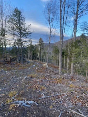 $250,000 | 12-12-10-8 12-12-10-8 Jacob Hall Farm Road, Unit 8, Rumney, NH 03266