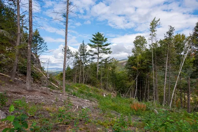 $250,000 | 12-12-10-8 12-12-10-8 Jacob Hall Farm Road, Unit 8, Rumney, NH 03266