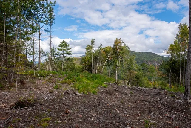 $250,000 | 12-12-10-8 12-12-10-8 Jacob Hall Farm Road, Unit 8, Rumney, NH 03266