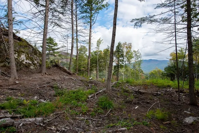 $250,000 | 12-12-10-8 12-12-10-8 Jacob Hall Farm Road, Unit 8, Rumney, NH 03266