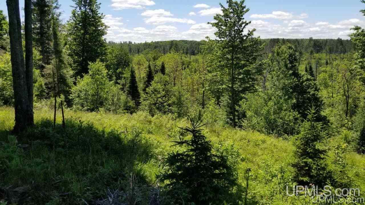 Tbd Parks Farm Road, Unit LOT #2 4 29 ACRES Iron River, MI 49935 - Photo 9 of 12