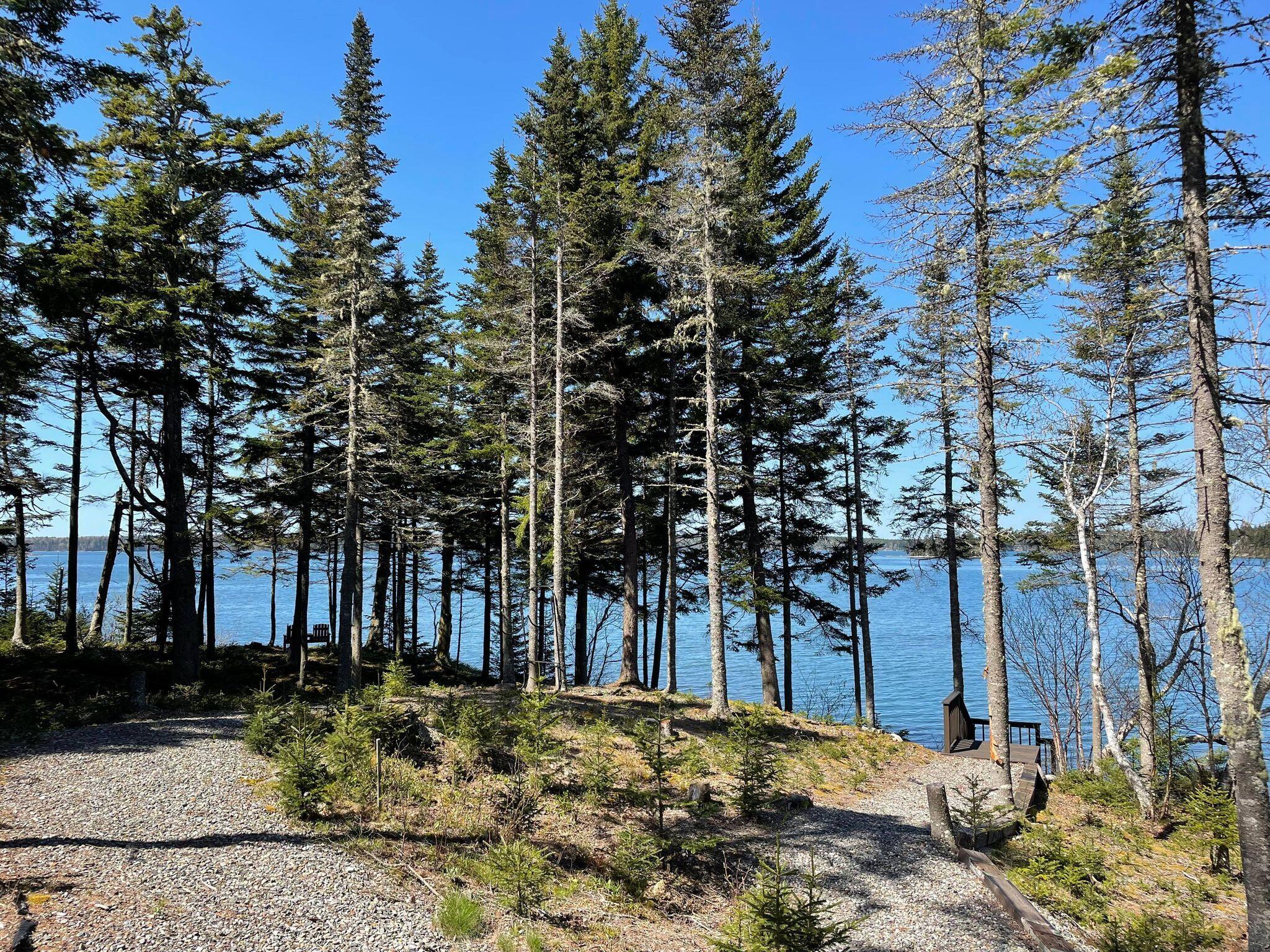 76 Collins Cove Road Machiasport, ME 04655 - Photo 19 of 53 279892699_538690177878824_72224551004090
