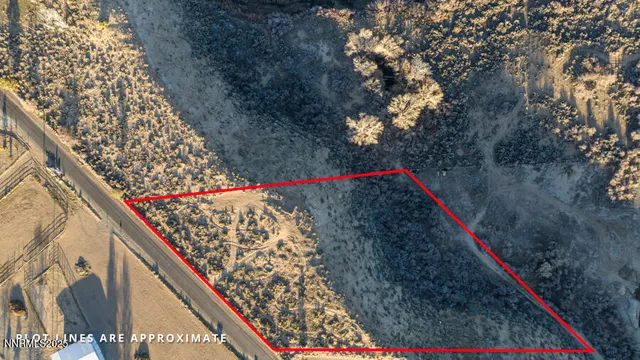 $250,000 | 191 Artist View Road, Wellington, NV 89444