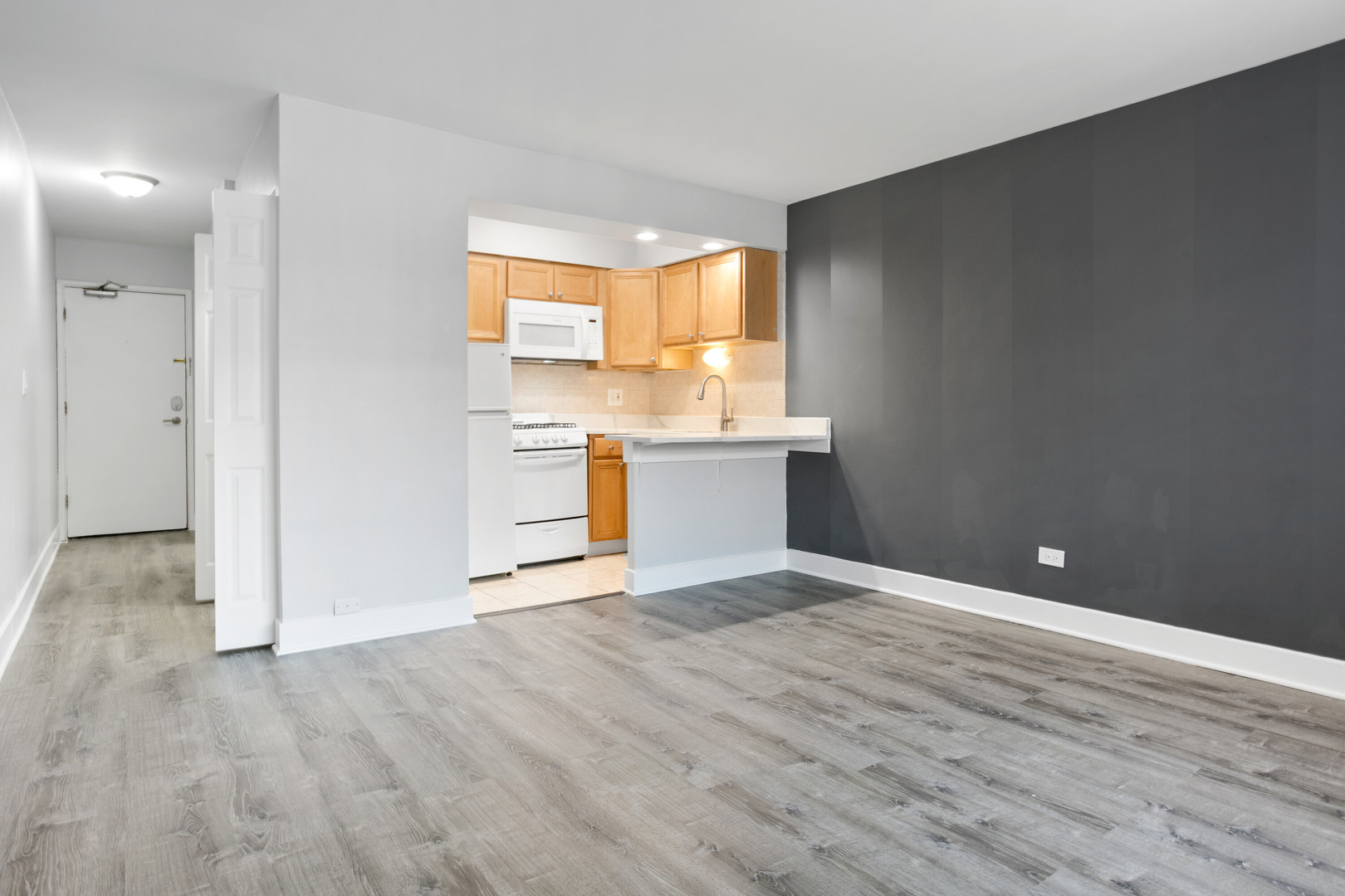 6758 North Sheridan Road, Unit 333 Chicago, IL 60626 - Photo 4 of 10