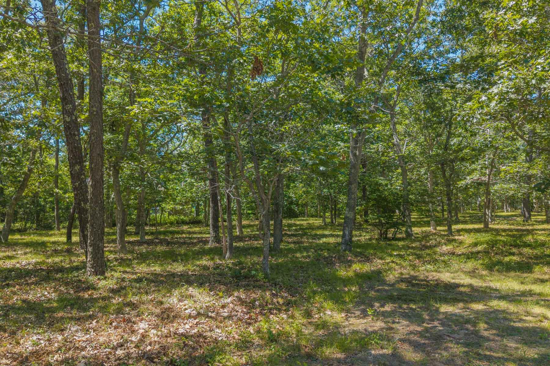 4 Wilsons Lane Edgartown, MA 02539 - Photo 11 of 19 4 Wilson-14LOW RES014