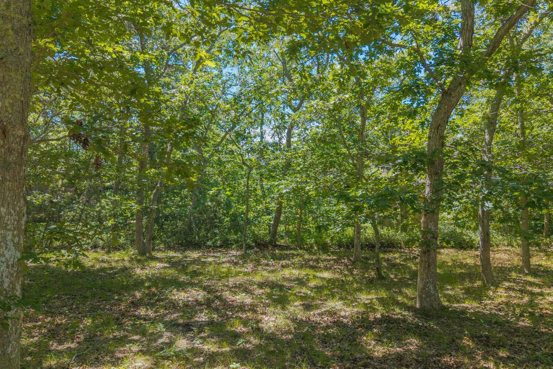 4 Wilsons Lane Edgartown, MA 02539 - Photo 15 of 19 4 Wilson-18LOW RES018