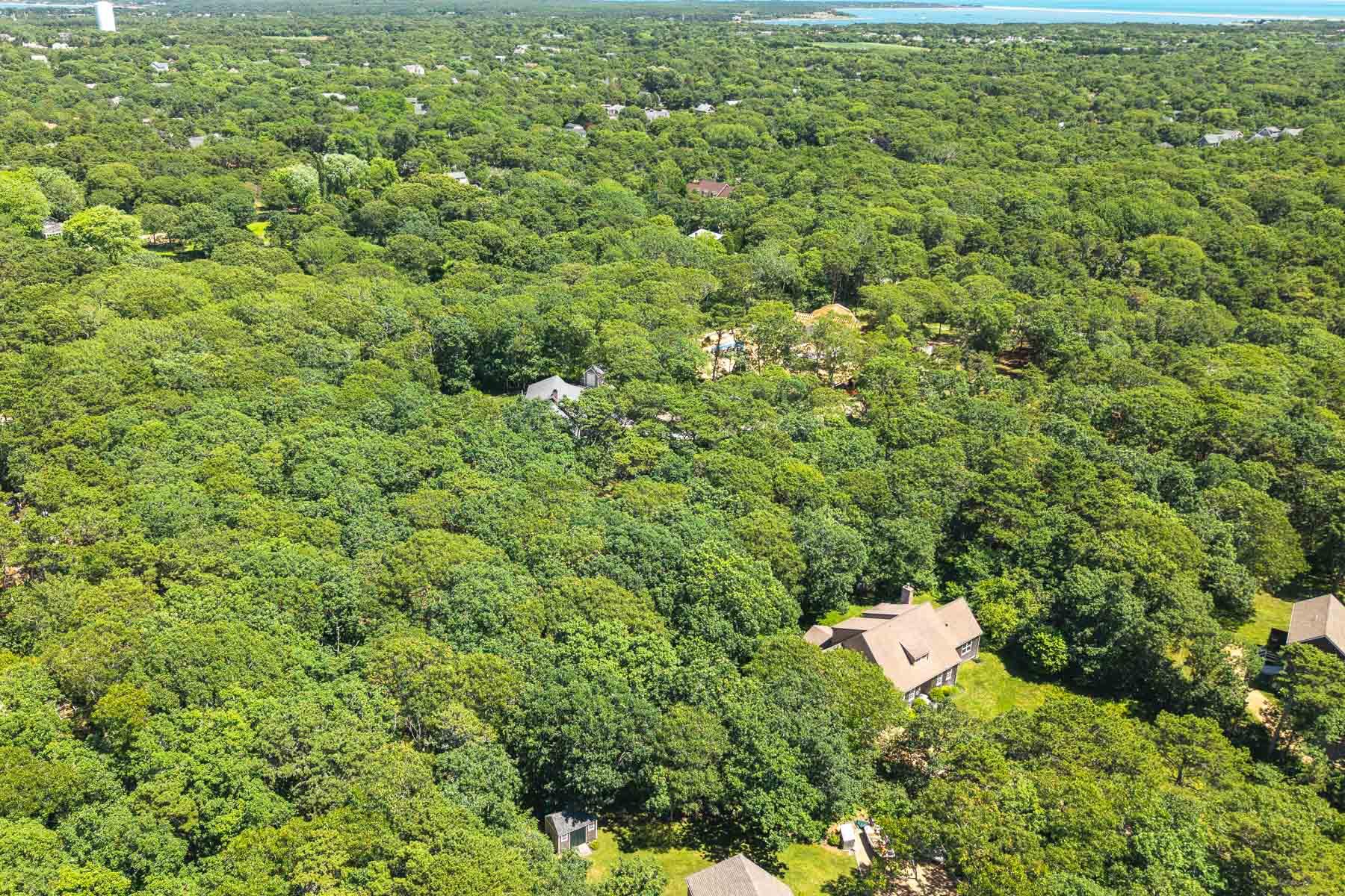 4 Wilsons Lane Edgartown, MA 02539 - Photo 4 of 19 4 Wilson-7LOW RES007