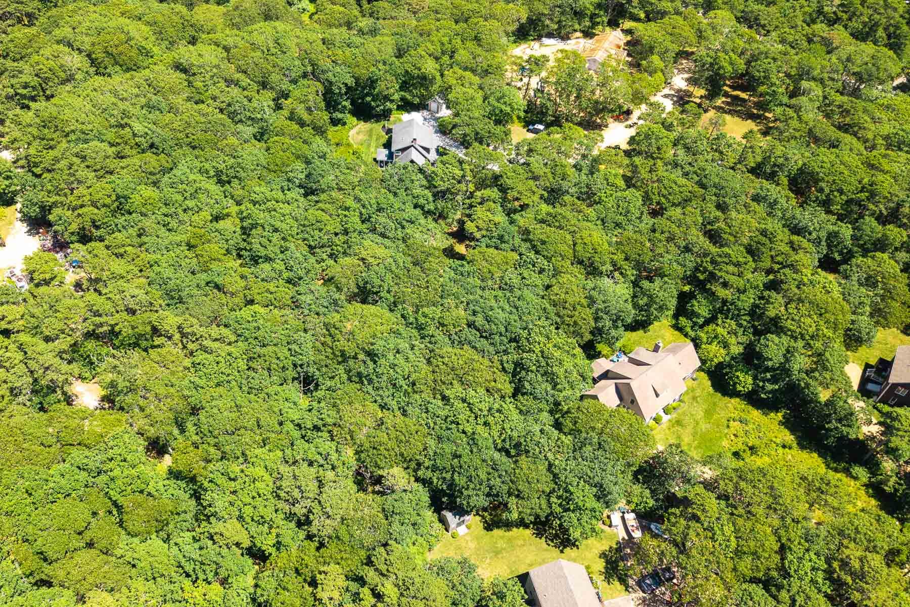 4 Wilsons Lane Edgartown, MA 02539 - Photo 5 of 19 4 Wilson-8LOW RES008