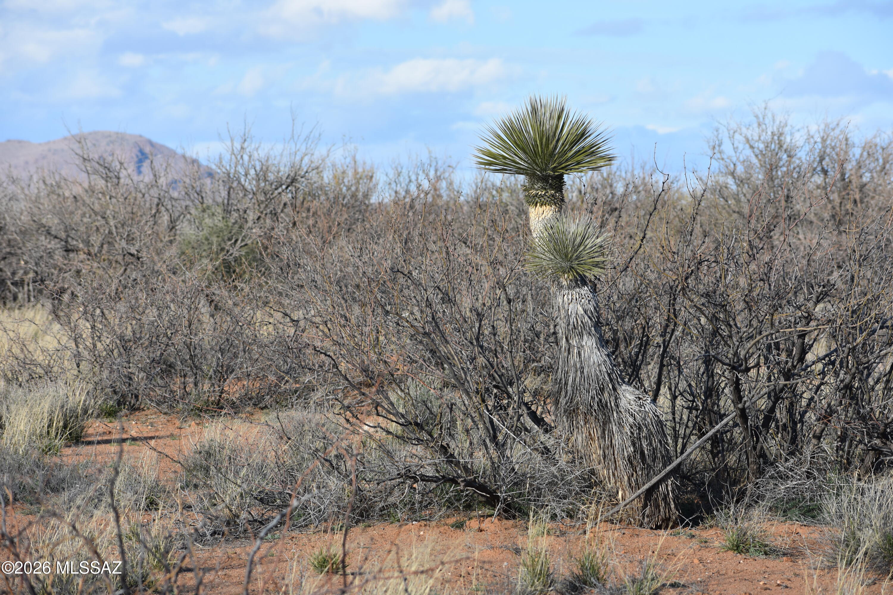 East Howling Wolf Road Willcox, AZ 85643 - Photo 23 of 49