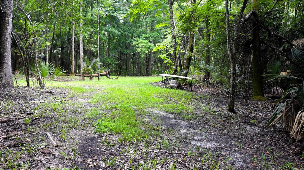 Volco Road Edgewater, FL 32141 - Photo 4 of 17