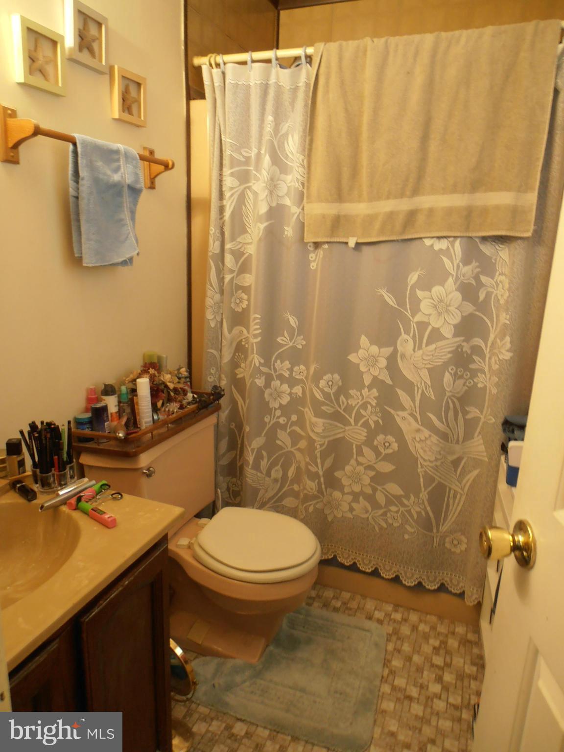 220 Ackerman Road Stevensville, MD 21666 - Photo 15 of 22 Bath (Master)