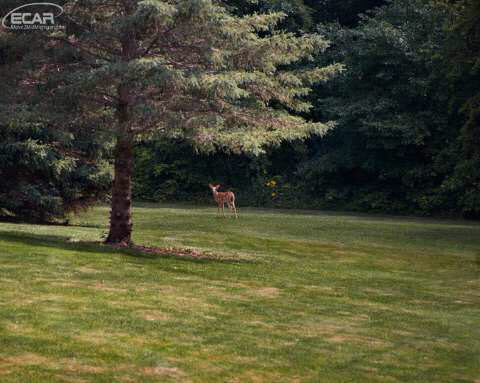 5571 Wilson Road Columbiaville, MI 48421 - Photo 36 of 37 20442193-36.JPG
